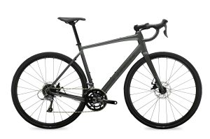 Domane AL 2 Gen 4